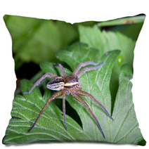 Raft Spider, Dolomedes Fimbriatus On A Green Leaf Pillows 72418463