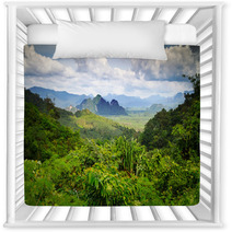 Rainforest Of Khao Sok National Park In Thailand Nursery Decor 47263789