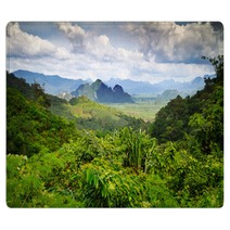 Rainforest Of Khao Sok National Park In Thailand Rugs 47263789