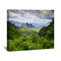 Rainforest Of Khao Sok National Park In Thailand Wall Art 47263789