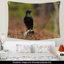 Raven (corvus Corax) On Branch In The Bog Wall Art 96062151