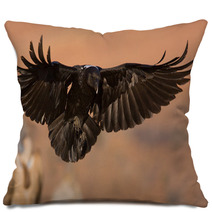 Raven Landing Pillows 30838305