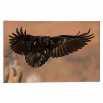 Raven Landing Rugs 30838305