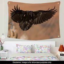 Raven Landing Wall Art 30838305