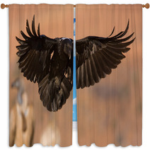 Raven Landing Window Curtains 30838305