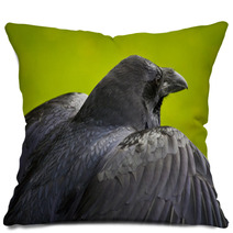 Raven. Pillows 89715891
