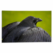 Raven. Rugs 89715891