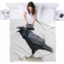 Raven Screaming On White Background Blankets 67259273