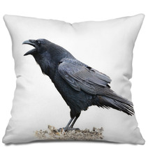 Raven Screaming On White Background Pillows 67259273