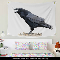 Raven Screaming On White Background Wall Art 67259273