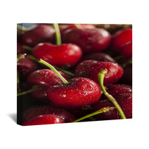 Raw Organic Red Cherries Wall Art 65200311