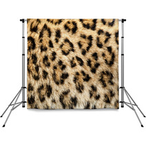 Real Live North Chinese Leopard Skin Texture Background Backdrops 46020809