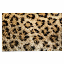 Real Live North Chinese Leopard Skin Texture Background Rugs 46020809