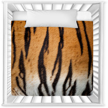 Real Live Tiger Fur Stripe Pattern Background Nursery Decor 44789361