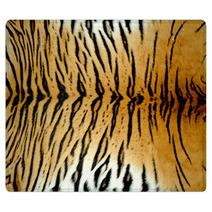 Real Tiger Skin Rugs 28397747
