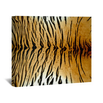 Real Tiger Skin Wall Art 28397747