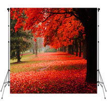 Red Autumn In The Park Backdrops 62277653