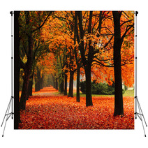 Red Autumn In The Park Backdrops 62305369