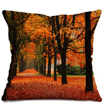 Red Autumn In The Park Pillows 62305369