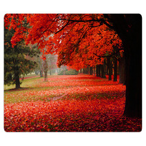 Red Autumn In The Park Rugs 62277653