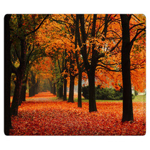 Red Autumn In The Park Rugs 62305369