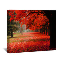 Red Autumn In The Park Wall Art 62277653