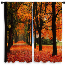 Red Autumn In The Park Window Curtains 62305369