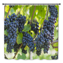 Red Bunch Of Grapes In The Vineyard Bath Decor 56923977