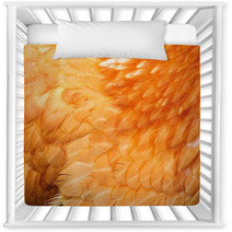 Red Chicken Feathers Close-Up Nursery Decor 50071388