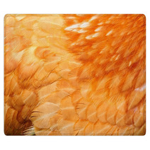 Red Chicken Feathers Close-Up Rugs 50071388