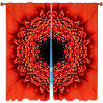 Red Concentric Flower Center Mandala Kaleidoscopic Design Window Curtains 64756397