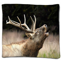 Red Deer Blankets 37494247