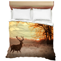 Red Deer In Morning Sun Bedding 65543128
