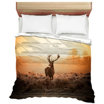 Red Deer In Morning Sun Bedding 65543373