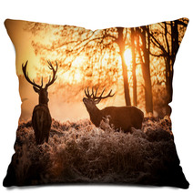 Red Deer In Morning Sun. Pillows 65543107