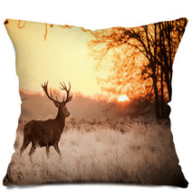 Red Deer In Morning Sun Pillows 65543128