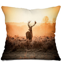 Red Deer In Morning Sun Pillows 65543373