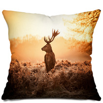 Red Deer In Morning Sun Pillows 65543404