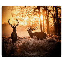 Red Deer In Morning Sun. Rugs 65543107