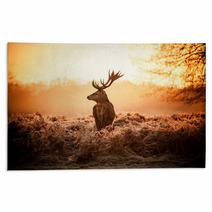 Red Deer In Morning Sun Rugs 65543404