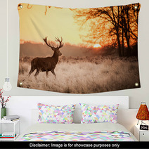 Red Deer In Morning Sun Wall Art 65543128