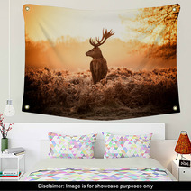 Red Deer In Morning Sun Wall Art 65543404