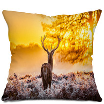 Red Deer In The Morning Sun Pillows 56996047