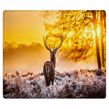 Red Deer In The Morning Sun Rugs 56996047