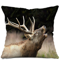 Red Deer Pillows 37494247