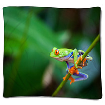 Red Eye Frog Blankets 60253562