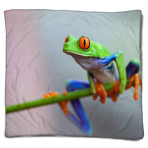 Red Eye Frog Blankets 60253596