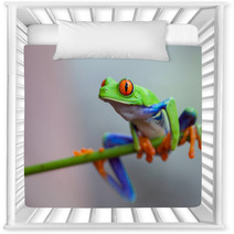 Red Eye Frog Nursery Decor 60253596
