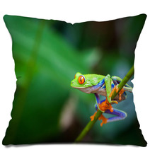 Red Eye Frog Pillows 60253562