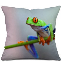 Red Eye Frog Pillows 60253596